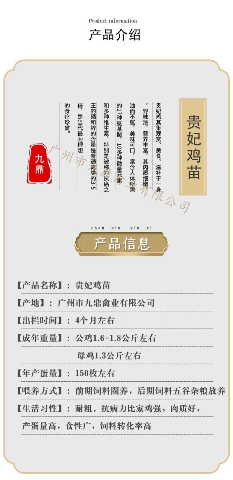 广州孵化场直售出壳贵妃鸡苗贵妇鸡苗帽子鸡苗包做疫苗