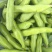 福建福清精品蚕豆大量上市