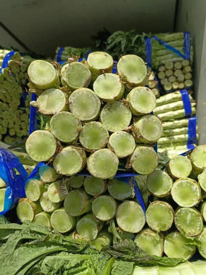 红叶香莴笋新鲜上市。看货轮价，保质保量全国发货。