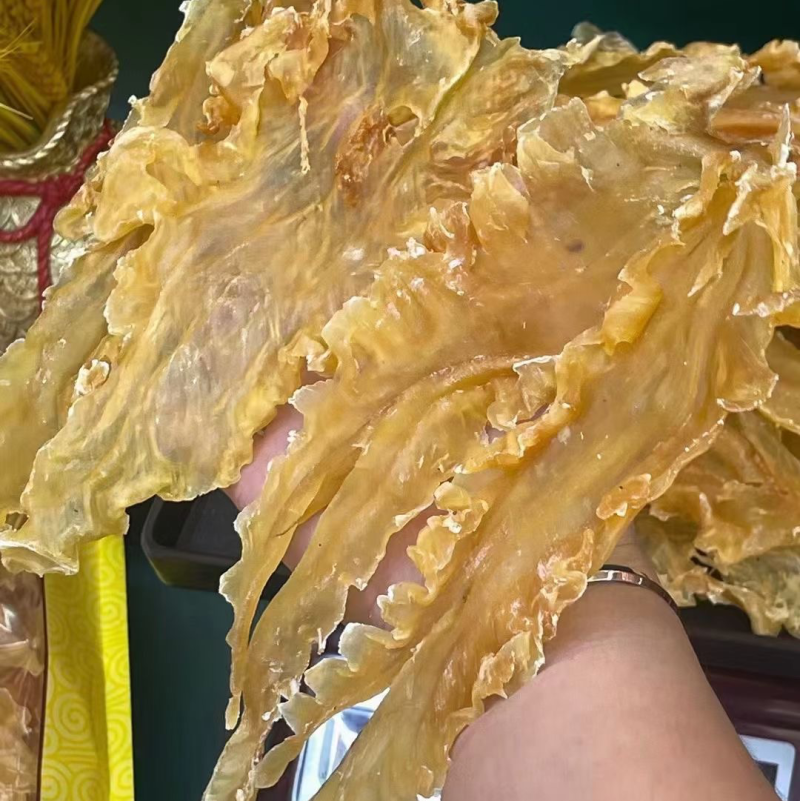 15头鳕鱼胶