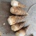 楠竹东笋全国发货.市场.电商需要的老板提前定