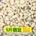 包邮）新眉豆农家新货白豇豆眉豆饭豆小白豆打豆浆