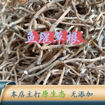 云南中药材野生鱼腥草根折耳根无硫精选100克包邮高