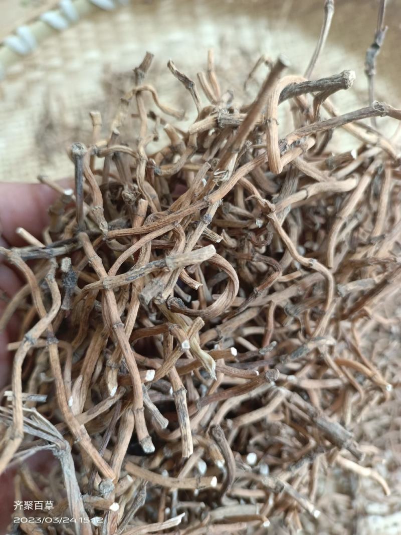 云南中药材野生鱼腥草根折耳根无硫精选100克包邮高
