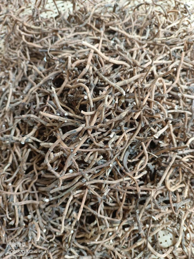 云南中药材野生鱼腥草根折耳根无硫精选100克包邮高