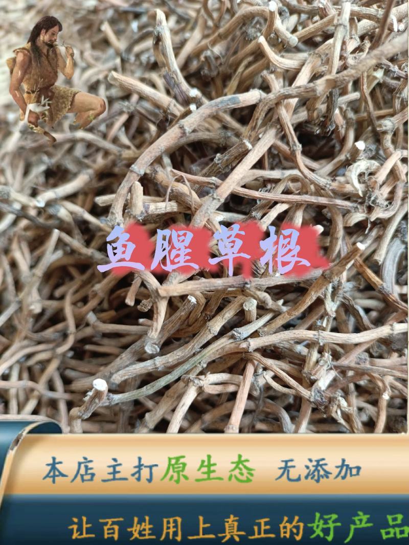 云南中药材野生鱼腥草根折耳根无硫精选100克包邮高