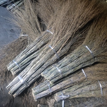 手工兰竹扫把主页有联系方式