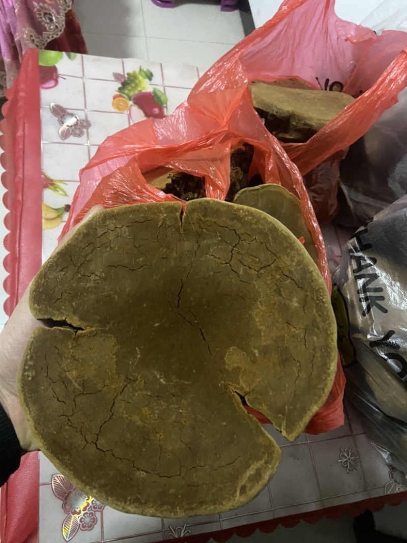 紫油黄桑黄