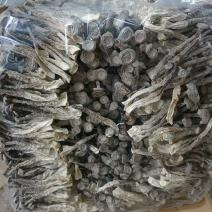 鹿茸菇