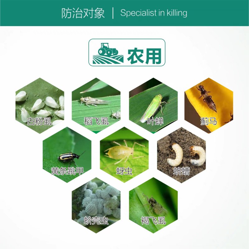 20%呋虫胺！对蚜虫，蓟马，飞虱，粉虱等效果显著