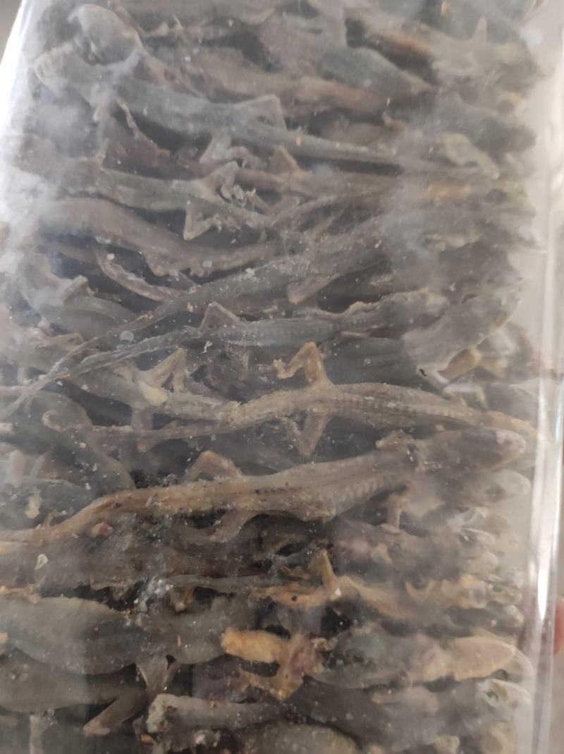 天龙壁虎摆条货200克一包纯干进口货