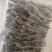 天龙壁虎摆条货200克一包纯干进口货