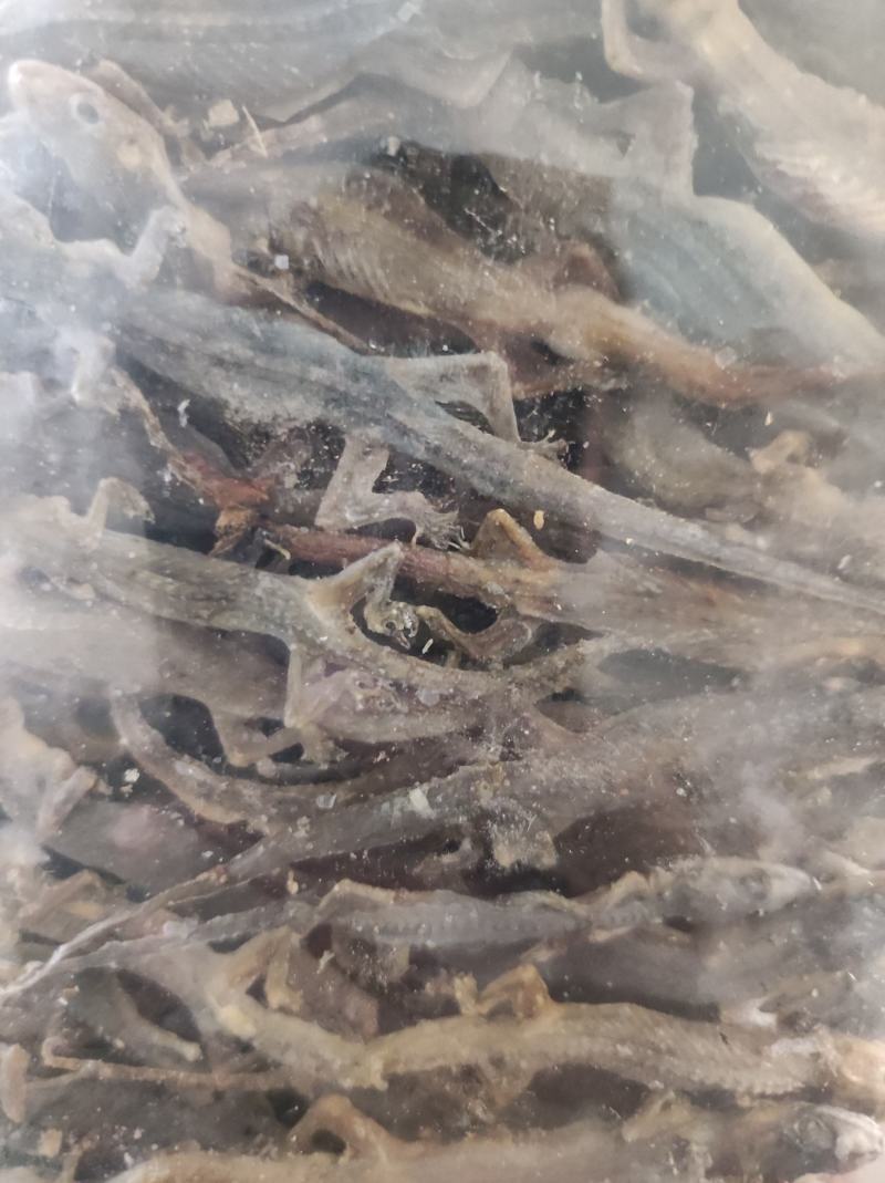 天龙壁虎摆条货200克一包纯干进口货
