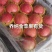 无伤残红富士苹果颜色鲜艳脆甜可口保障品质