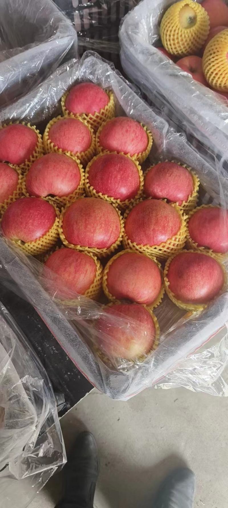 无伤残红富士苹果颜色鲜艳脆甜可口保障品质