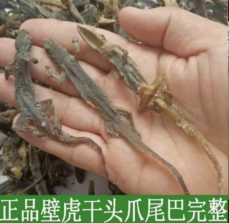 天龙壁虎摆条货200克一包纯干进口货