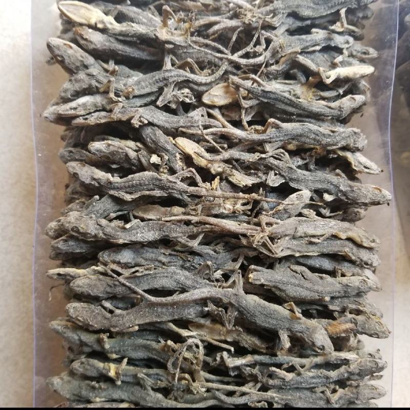 天龙壁虎摆条货200克一包纯干进口货