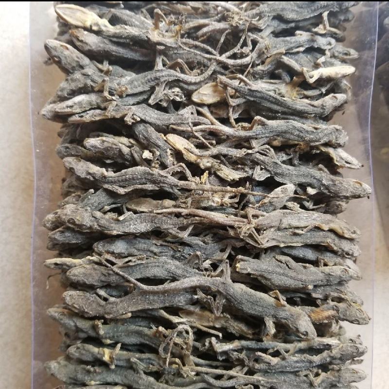 天龙壁虎摆条货200克一包纯干进口货