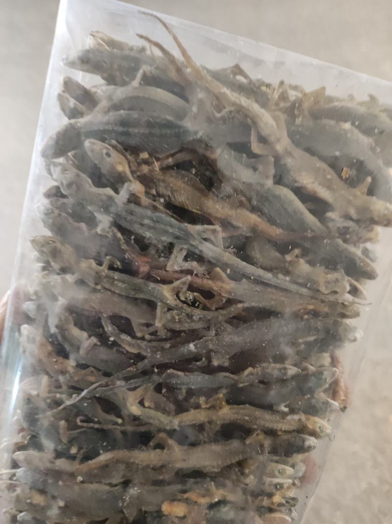 天龙壁虎摆条货200克一包纯干进口货