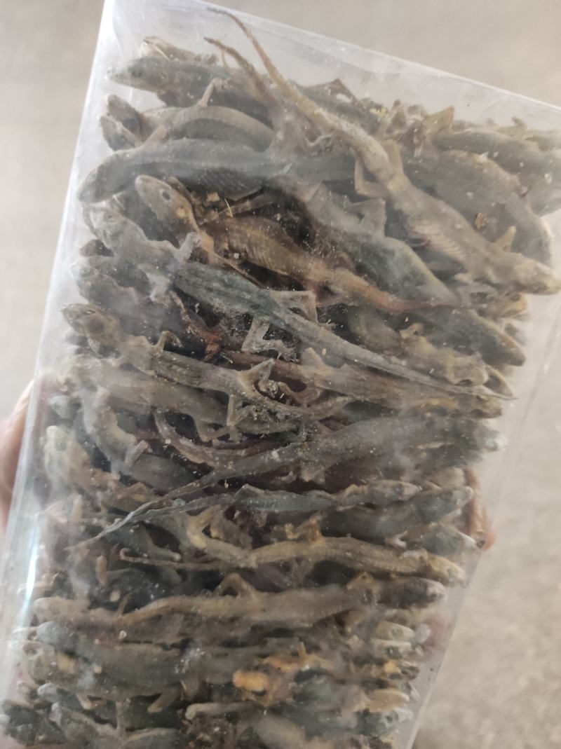 天龙壁虎摆条货200克一包纯干进口货