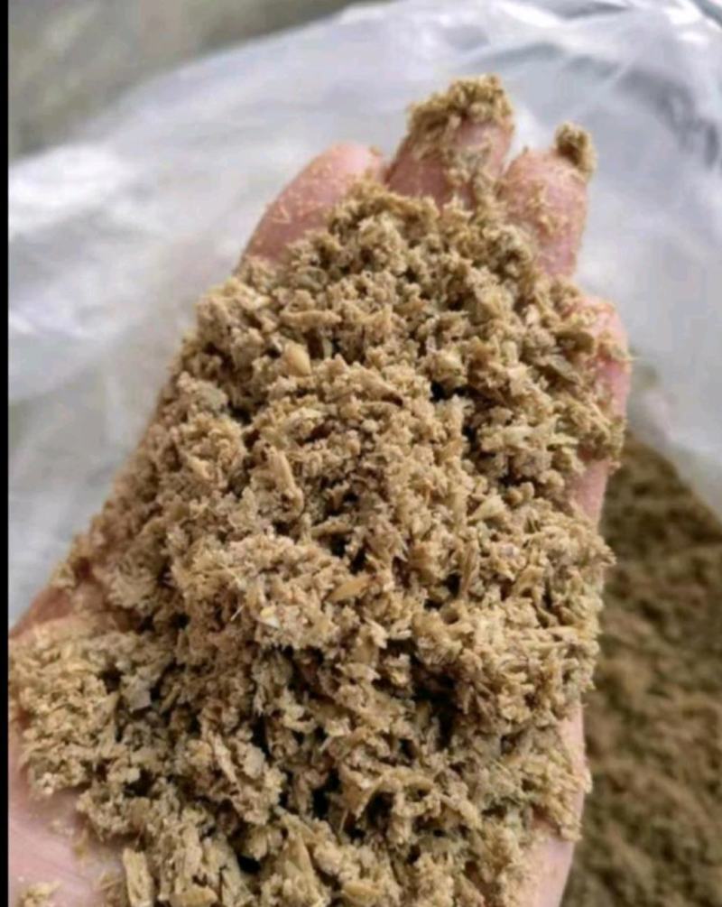 新鲜啤酒糟高蛋白，酒香浓，牛羊吃了长膘膘，价格便宜