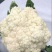浙江菜花-松花菜2~3斤散花乳白一手货源