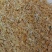 【精品】麸皮/小麦麸皮/粗麸皮/大片麸皮/小麦麸子全国发货