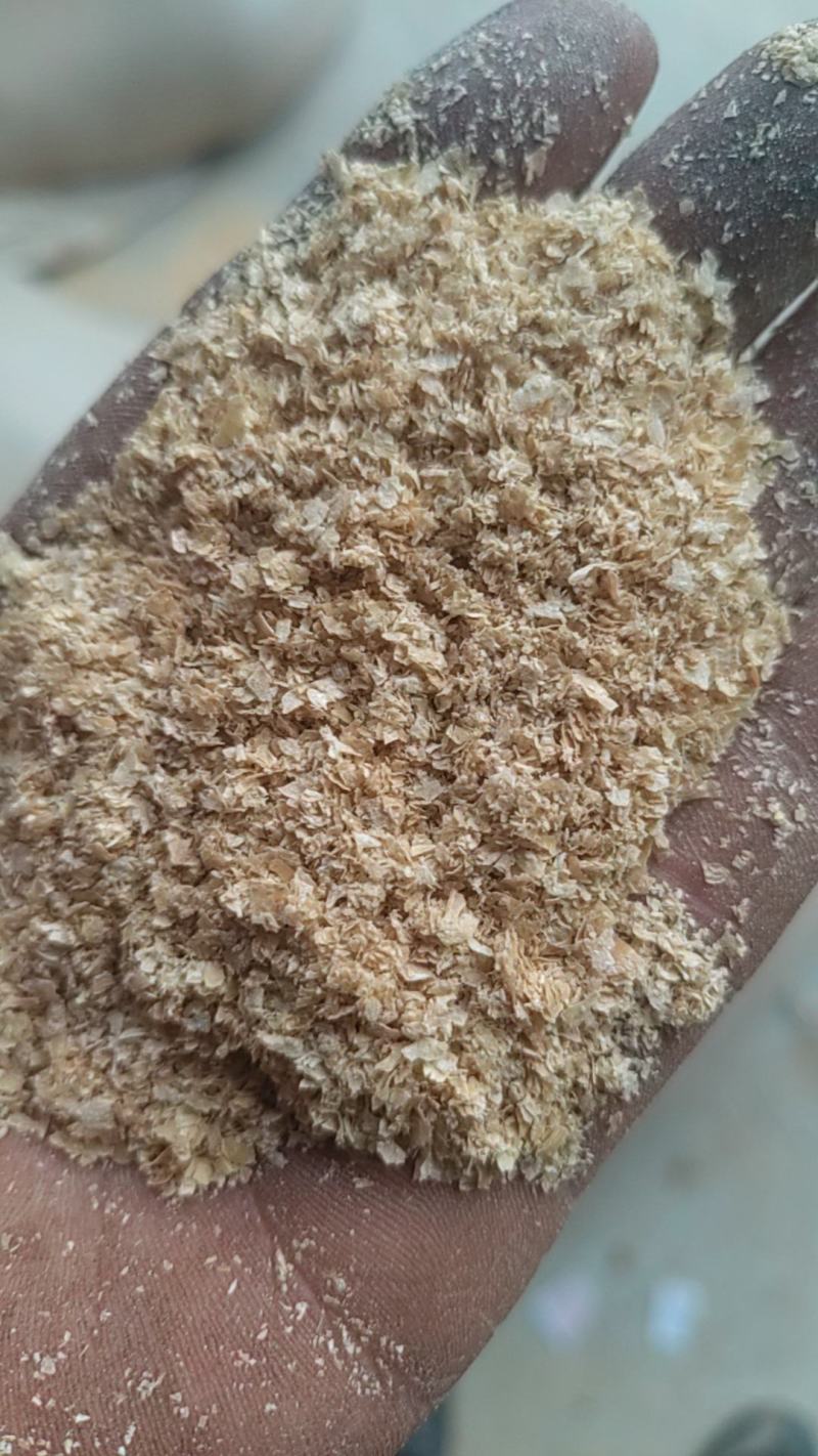 【精品】麸皮/小麦麸皮/粗麸皮/大片麸皮/小麦麸子全国发货
