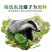 精制獾子油100克/瓶2瓶包邮纯獾子油带使用说明书