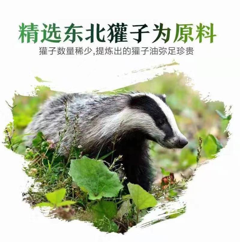 精制獾子油100克/瓶2瓶包邮纯獾子油带使用说明书