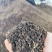 种植草炭土生产厂家花卉绿植有机蔬果用四川鑫立里基质