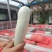 羊角蜜甜瓜甜蜜多汁现货产地直供，欢迎老板联系合作