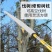 多功能不锈钢超硬伸缩杆香椿槐花摘果杆钓鱼高枝锯手柄绝缘抄