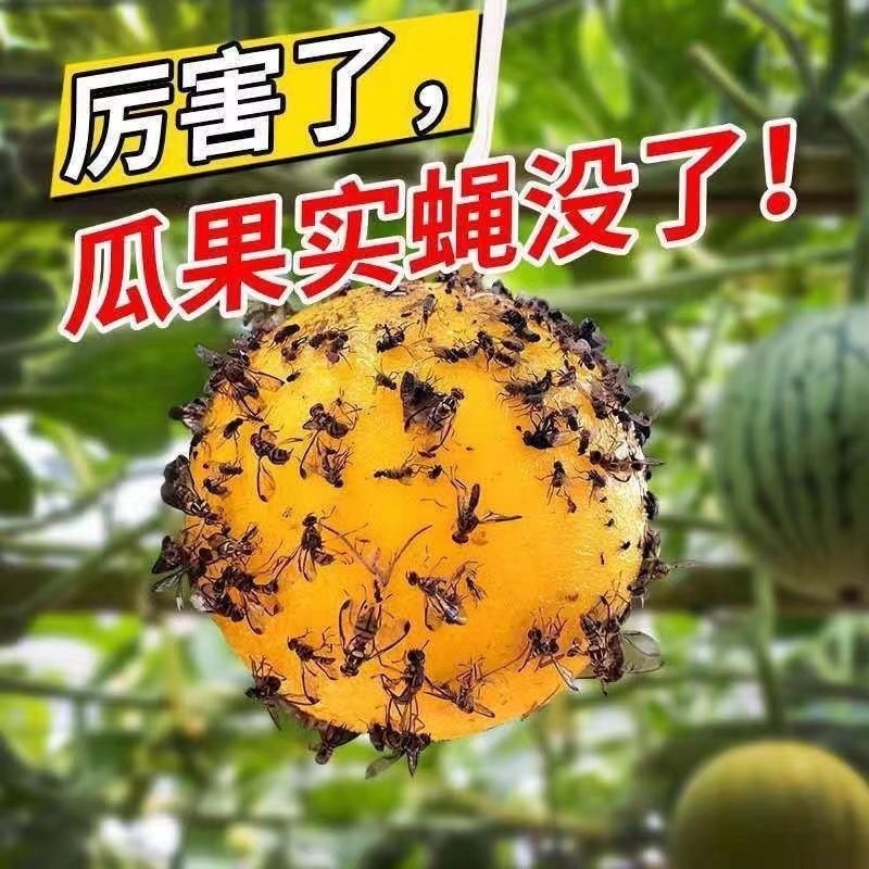 粘虫球柑橘大实蝇诱蝇球抓果实蝇果蝇针蜂瓜实蝇马蜂