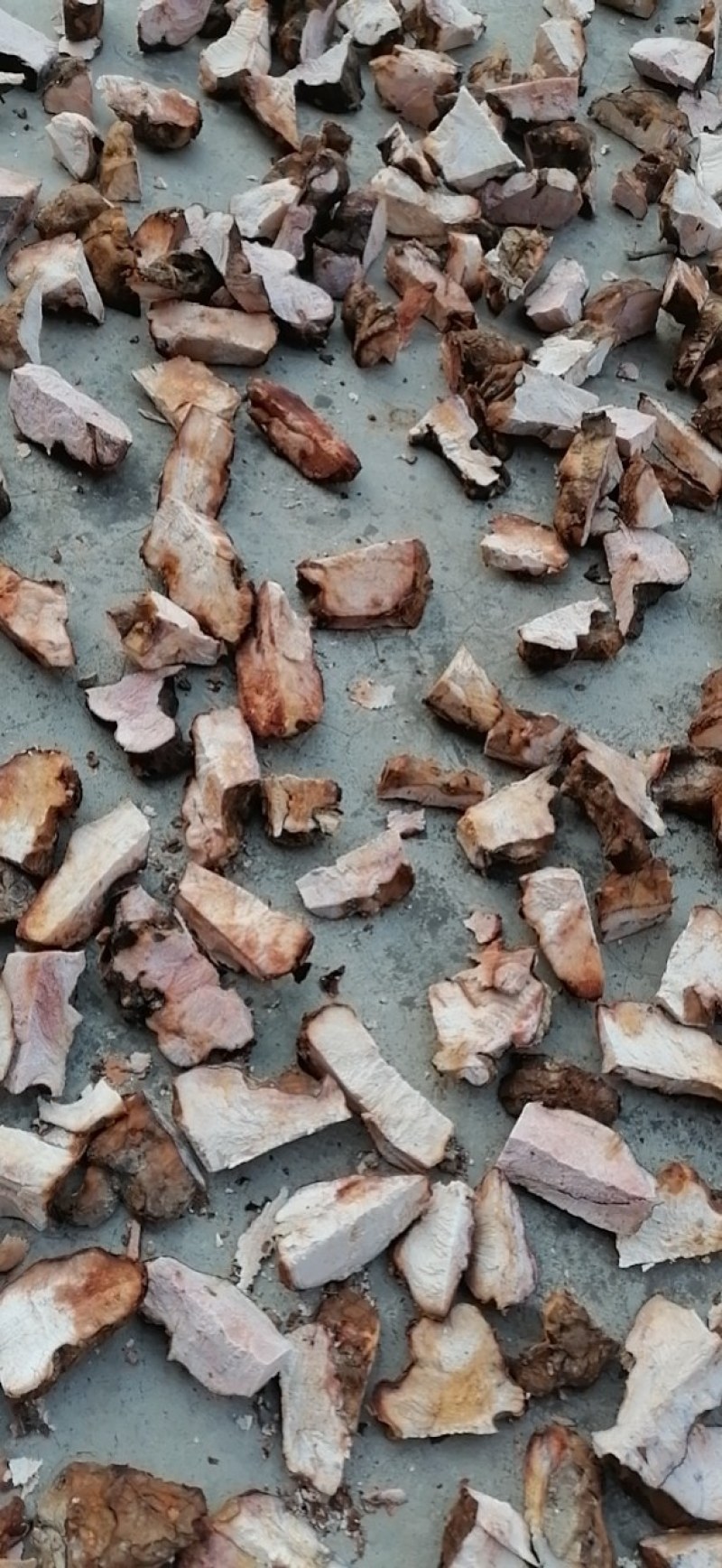 精品土茯苓长期有货超高性价比新鲜上市