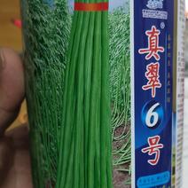 豆角种子，真翠6号，产量高，详细介绍请看包装说明谢谢！