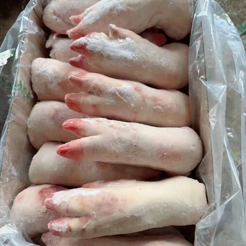 猪副产品鲜冻母猪猪蹄