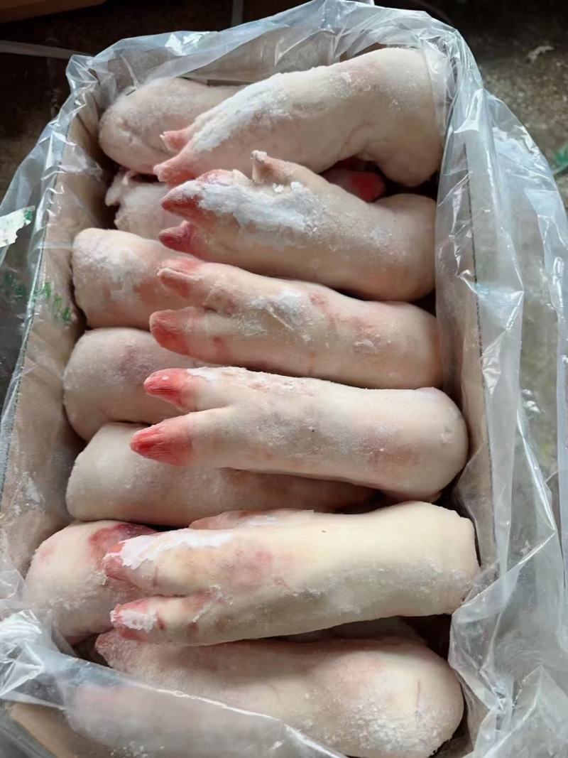 猪副产品鲜冻母猪猪蹄