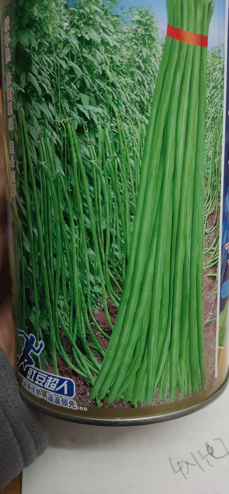 豆角种子，真翠6号，产量高，详细介绍请看包装说明谢谢！