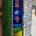 豆角种子，真翠6号，产量高，详细介绍请看包装说明谢谢！