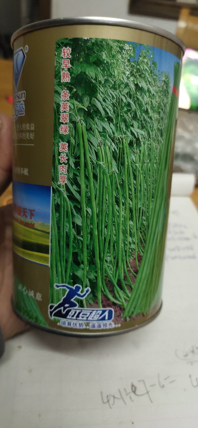 豆角种子，真翠6号，产量高，详细介绍请看包装说明谢谢！