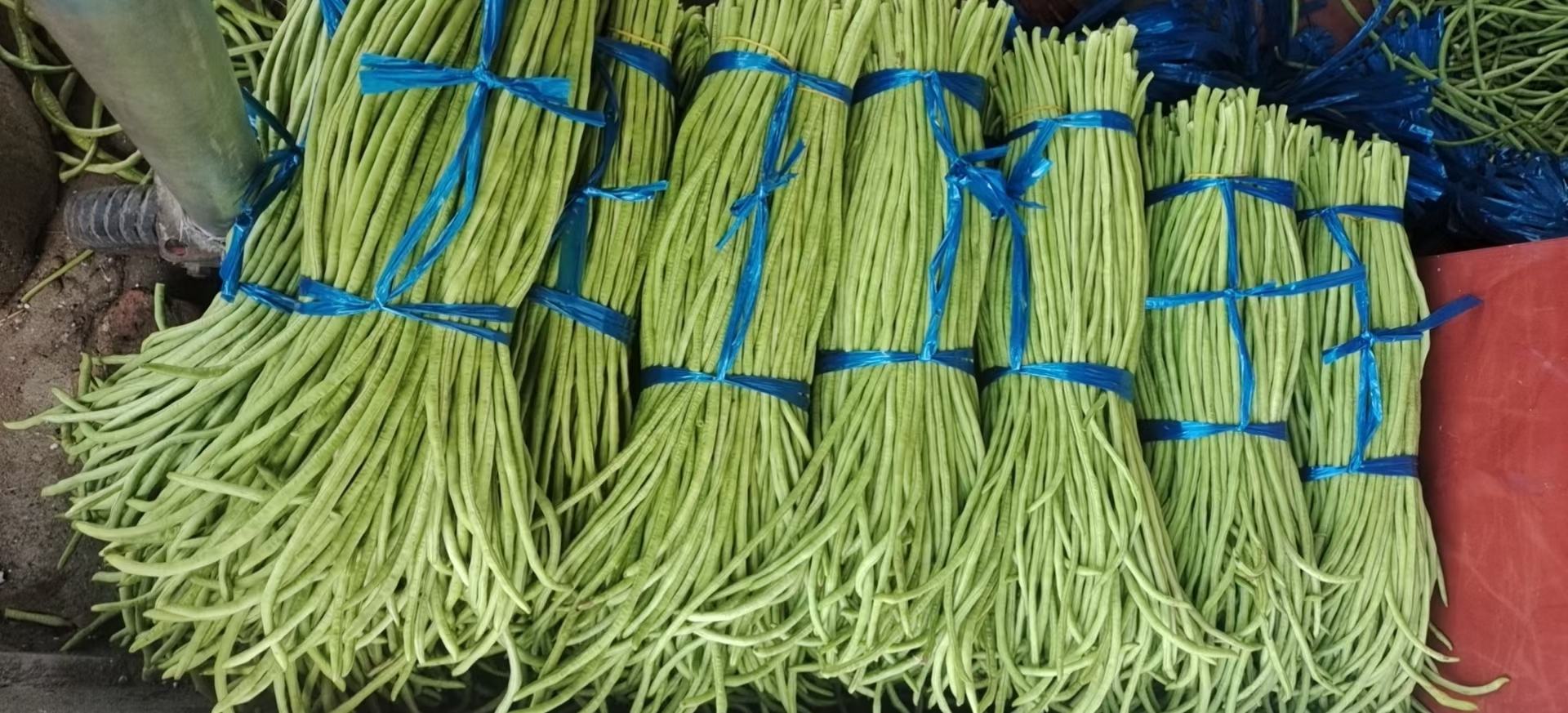 农贸市场中绿心蚕豆的售卖场景,摊位上摆满新鲜绿心蚕豆,顾客正在挑选 绿心蚕豆市场售卖场景图