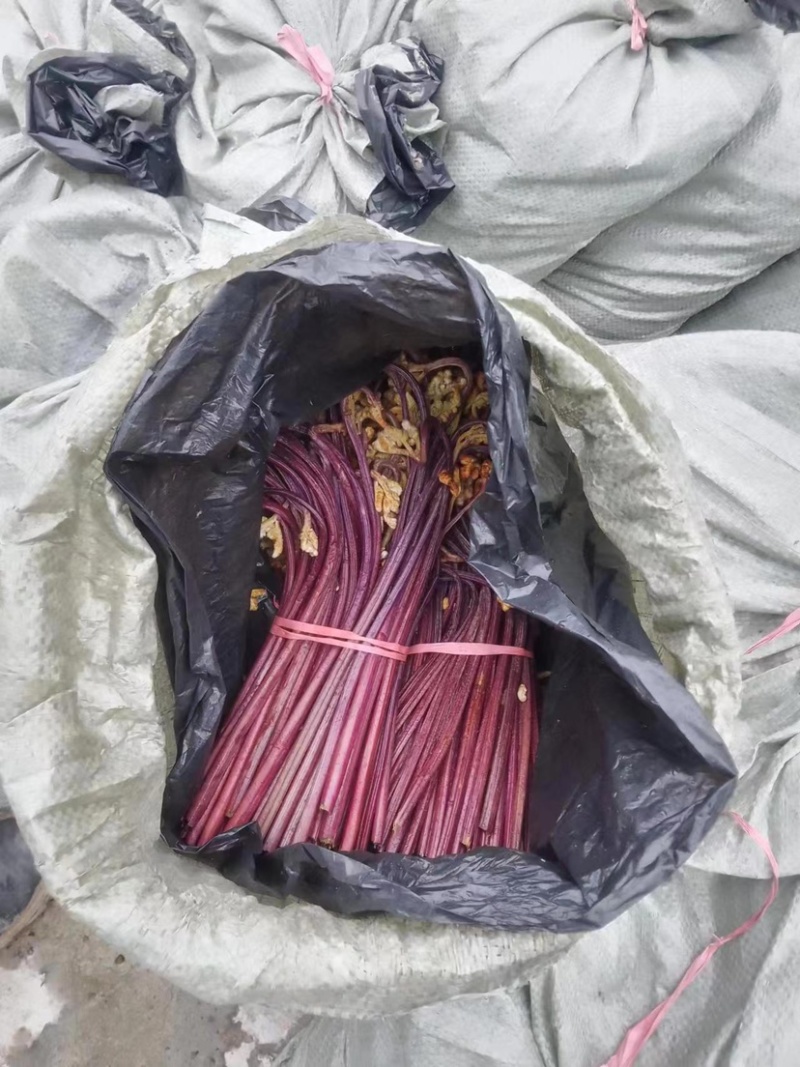 大量供应贵州野生蕨菜，欢迎各大超市可以联系我，小李