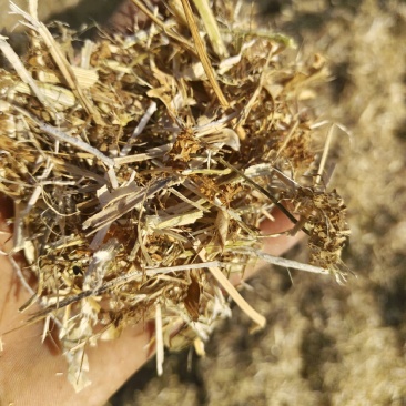 粉碎过筛除尘、黄豆秸秆适合牛羊马驴使用，干净利落价格便宜