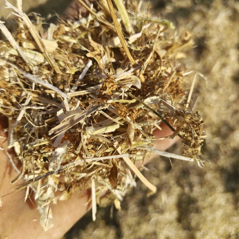 粉碎过筛除尘、黄豆秸秆适合牛羊马驴使用，干净利落价格便宜