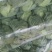 徐州甘蓝，货源充足，电商，市场，产地直发只做精品
