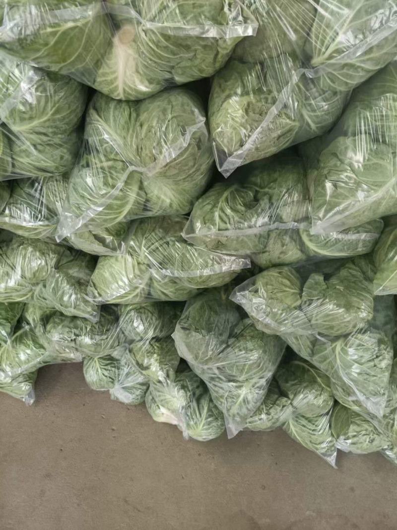 徐州甘蓝，货源充足，电商，市场，产地直发只做精品