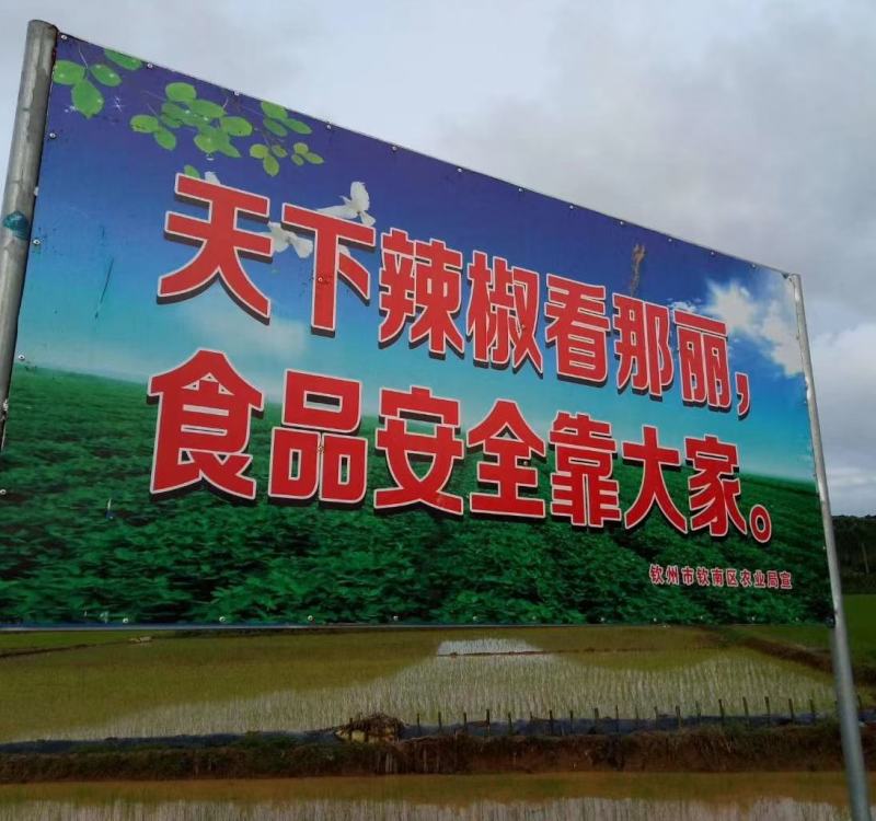 品种多样，种植面积广，每天货量大，欢迎前来收购……