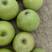 秦冠苹果（万荣光果商品果，加工类）青皮秦冠苹果大量供货
