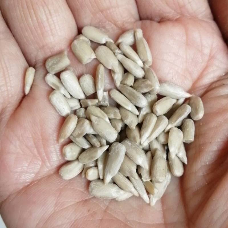 精品全葵仁，出油率58，一手货源，量大从优，保质保量。